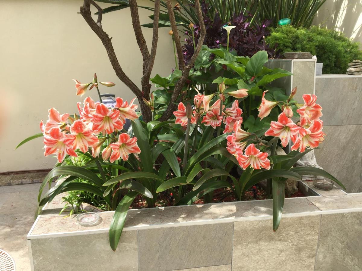 Appartement Bizcocheros Con Piscina Y Jardin Privado